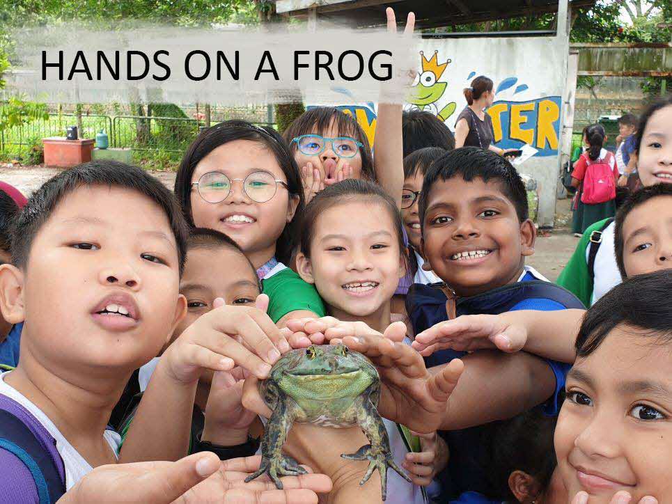 Jurong Frog Farm